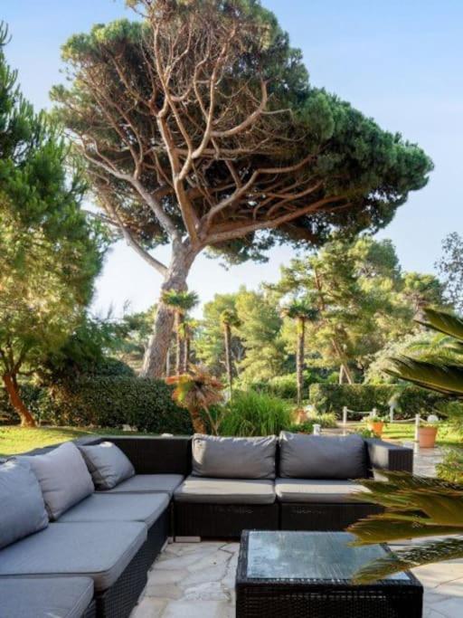 Superbe Appartement 50M De La Plage En Bord De Mer Hyeres Bagian luar foto